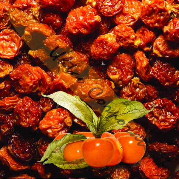 Premium Physalis (Golden Berries) from Peru Ekowarehouse